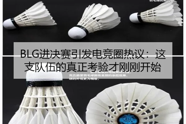 BLG进决赛引发电竞圈热议：这支队伍的真正考验才刚刚开始